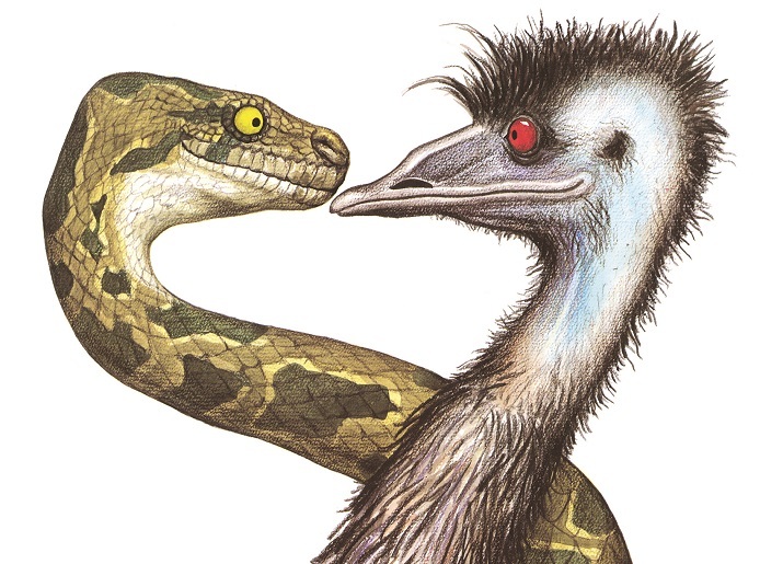 Edward the Emu