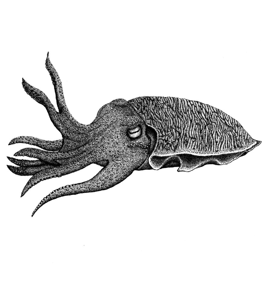  by 