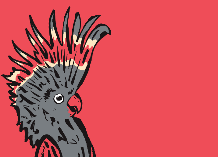 Melbourne International Comedy Festival Roadshow 2025