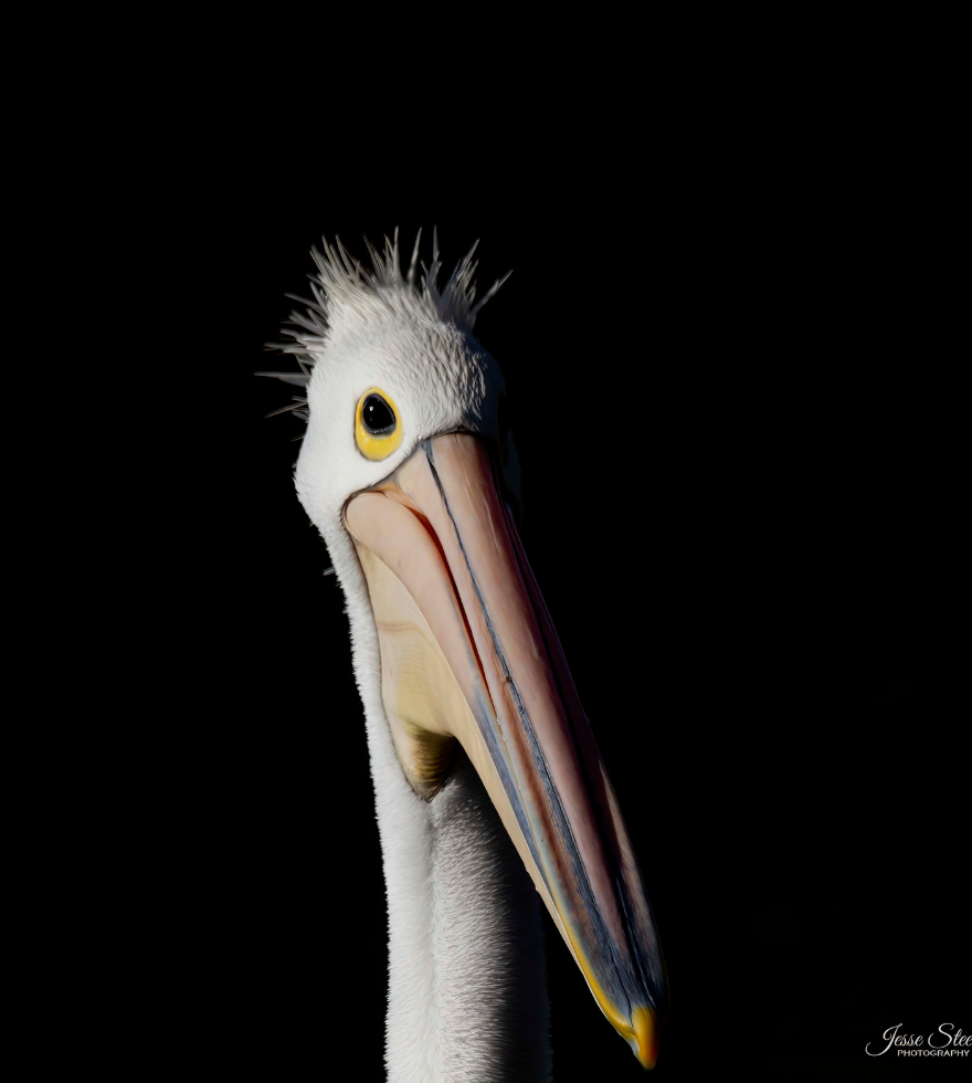  by 