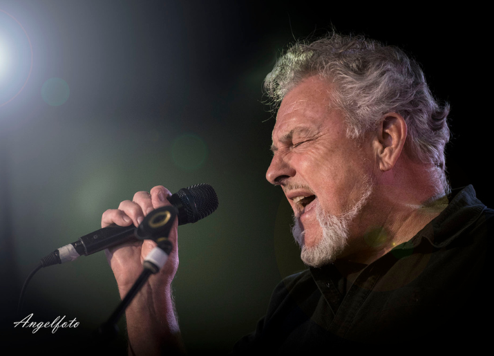 Ross Wilson & The Peaceniks