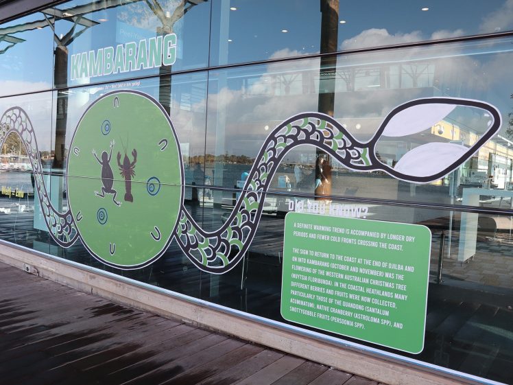 Image of A large illustrated snake winds across a glass wall. The word KAMBARANG and text about Noongar seasons appear beside it. Reflections of trees and water are visible outside through the glass.