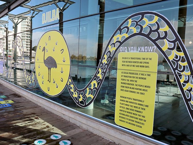 Image of A glass wall display features a large, colourful snake design, a circular yellow panel with a black animal, and a text box titled “Did you know?” with educational information. Waterfront buildings and water are reflected in the glass.
