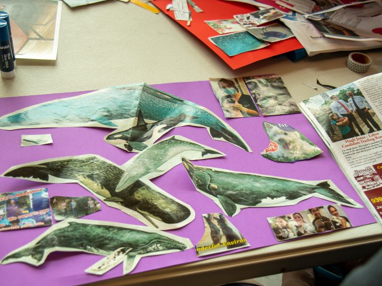 Image of A collage on purple paper featuring cut-out images of whales, dolphins, and people, with crafting materials and more cut-outs scattered on a messy table.