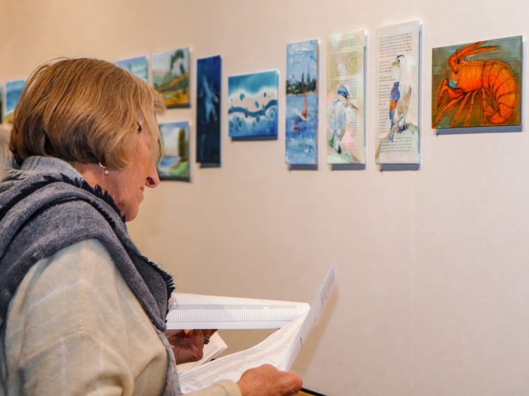 Image of An older woman wearing a grey scarf examines small, colourful paintings and mixed media artworks displayed on a gallery wall, holding papers or a notebook in her hands.