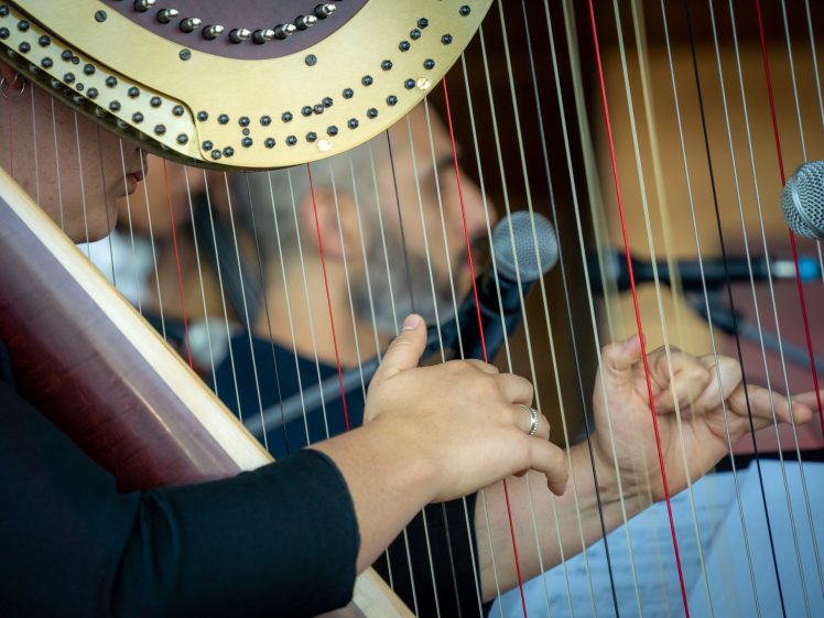 Image of A close-up of a harpist's hands playing a harp, with a microphone and a blurred person in the background. The harp strings and part of the instrument's frame are clearly visible.