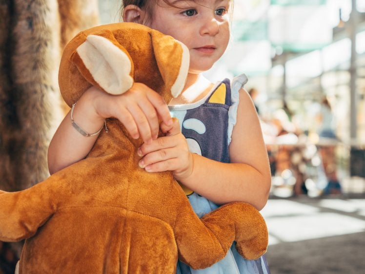 Image of A young girl in a blue dress smiles softly whilst hugging a large brown teddy bear in a sunlit indoor space with colourful decor in the background.