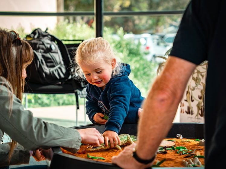 Image of A young child reaches into a sensory play table filled with sand and toys, smiling whilst playing with two adults in a bright indoor space.