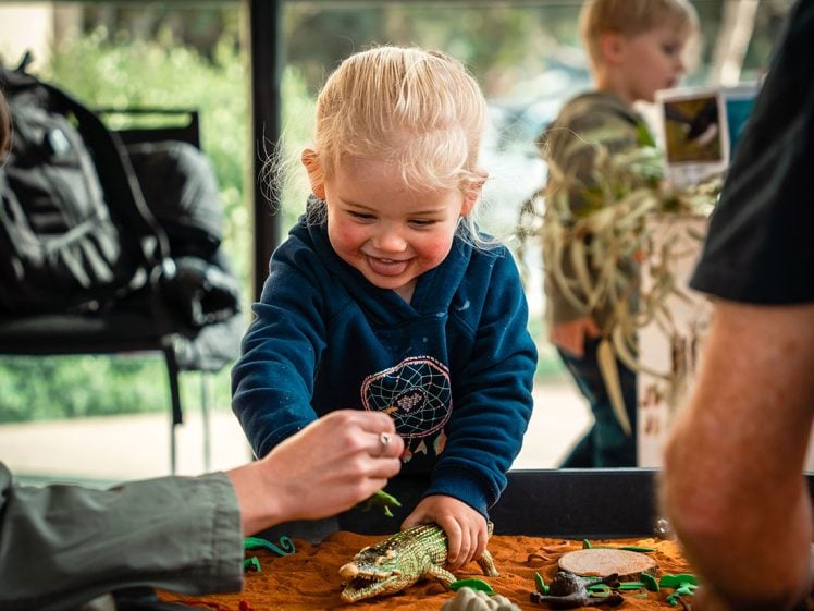 Image of A smiling blonde toddler in a blue hoodie plays with a toy crocodile and plastic plants at a sandpit, surrounded by adults and children in a bright indoor setting.