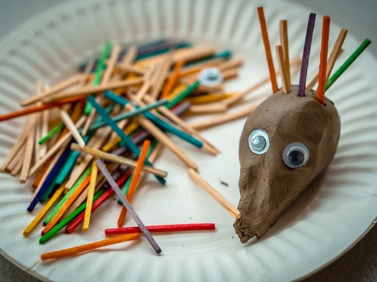 Image of A clay hedgehog with googly eyes and colourful wooden sticks as spines sits on a white paper plate, with extra sticks scattered nearby.