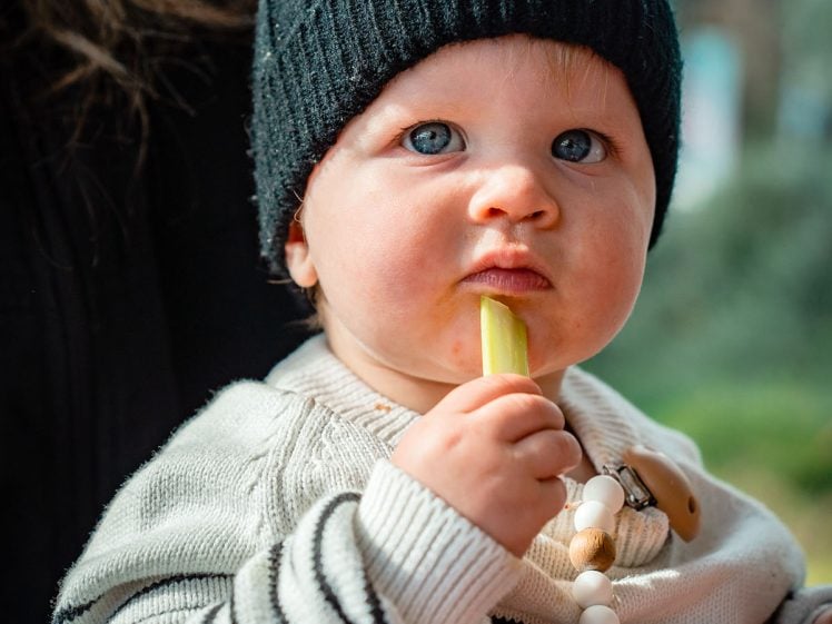 Image of A baby wearing a black knitted hat with a fluffy pom-pom and a striped jumper holds a piece of celery. An adult's hand is holding the baby, whose blue eyes look curiously at the camera.