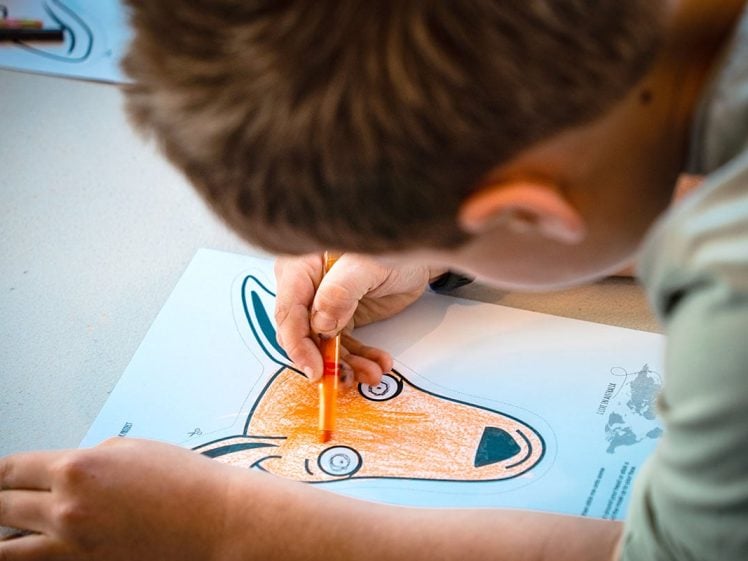 Image of A child is colouring a drawing of an orange animal, possibly a kangaroo, on a piece of paper using a pencil. The child's face is partially visible, focused on the artwork.