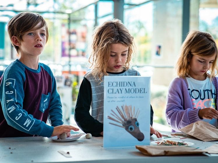 Image of Three children are making clay echidna models at a table indoors. A sign with an image of a clay echidna and the text Echidna Clay Model is on the table, surrounded by craft materials. Bright natural light fills the room.