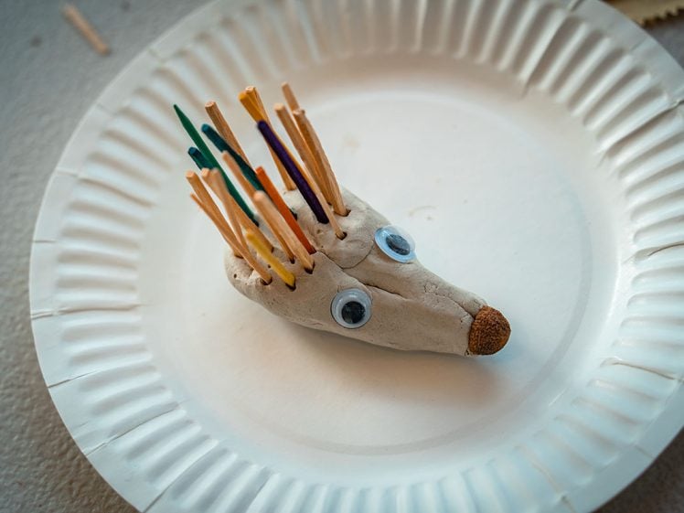Image of A small hedgehog craft made from clay with googly eyes, a brown bead nose, and coloured matchstick “spines”, sits on a white paper plate.
