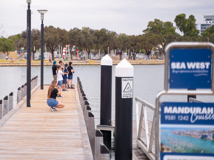 Image of A group of people, including children, stand and kneel along a wooden jetty over water, looking out. The scene is cloudy, with trees and buildings visible in the background. Signs about cruises are posted at the jetty’s entrance.