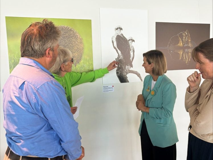 Image of Four adults stand in front of a white wall displaying three wildlife photographs. One person is pointing at a black-and-white image of two birds as the others listen and observe.