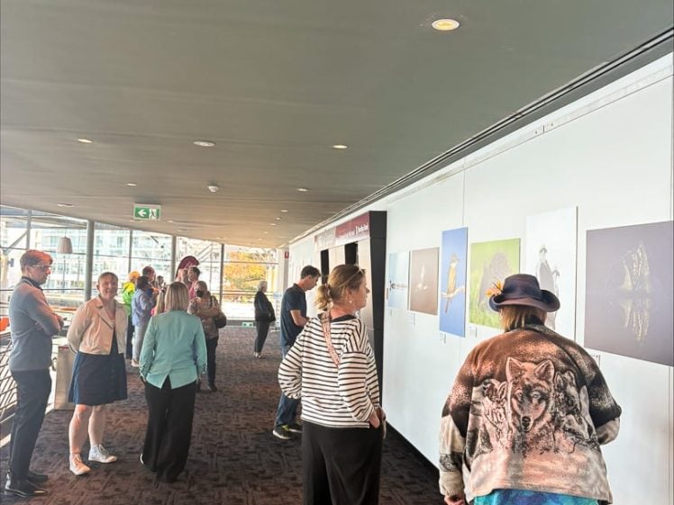 Image of People view artwork displayed on a gallery wall in a bright, modern space. In the foreground, a woman wearing a hat stands with a yellow guide dog. Other visitors are scattered throughout the exhibition.