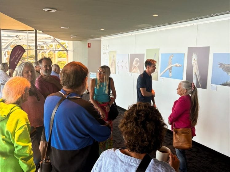 Image of A group of people gathers in a gallery, viewing bird photographs displayed on a white wall. Some individuals are engaged in conversation, while others look at the artwork. Natural light enters from large windows in the background.