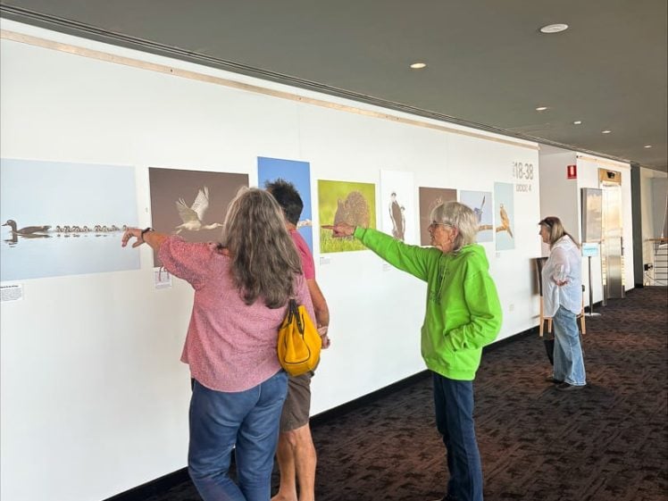Image of Four people stand in a corridor looking at and discussing animal photographs displayed on a wall; two people are pointing at the images while another looks on and a fourth faces away.