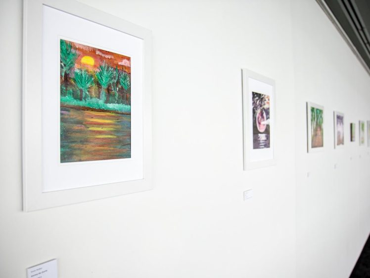 Image of Framed artworks hang in a row on a white gallery wall. The closest artwork depicts a sunset over water with trees, whilst smaller framed pictures are spaced evenly along the wall.