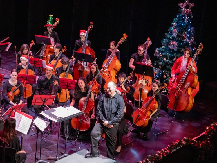 Image of A conductor stands and smiles before an orchestra with string instruments on a decorated stage. Some musicians wear Father Christmas hats. A decorated Christmas tree is visible in the background.