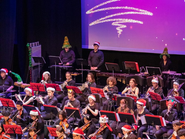 Image of A large orchestra performs on stage, many musicians wearing Santa hats. Behind them, a screen displays a sparkling Christmas tree design on a purple background. Two performers at the back wear Christmas tree hats.