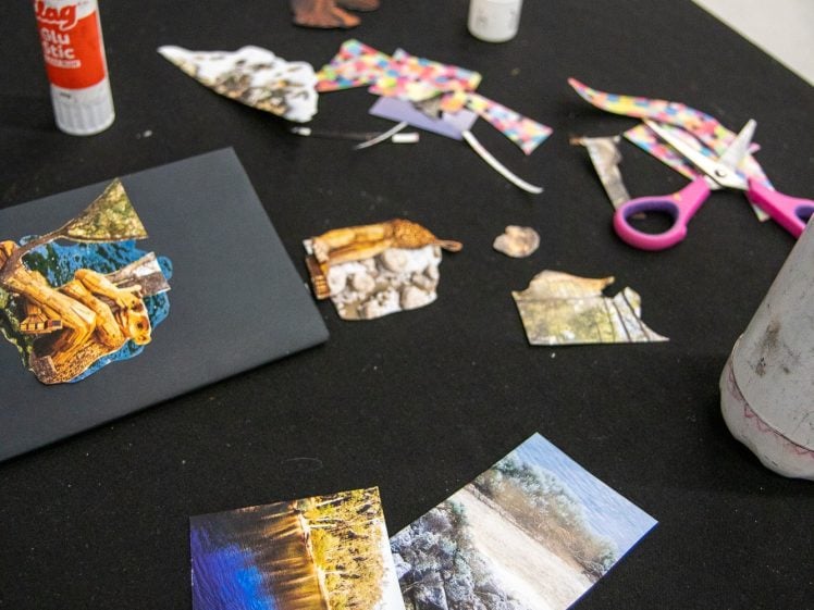 Image of A black table holds scissors, a glue stick, and various cut-out magazine images of nature and animals, likely for a collage art project.