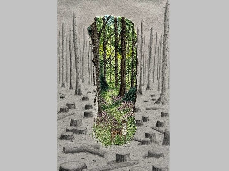 Image of A pencil drawing of a forest with tree stumps is shown, but the centre is torn away, revealing a vibrant, colourful forest with green trees, grass, and sunlight, contrasting with the greyscale surroundings.