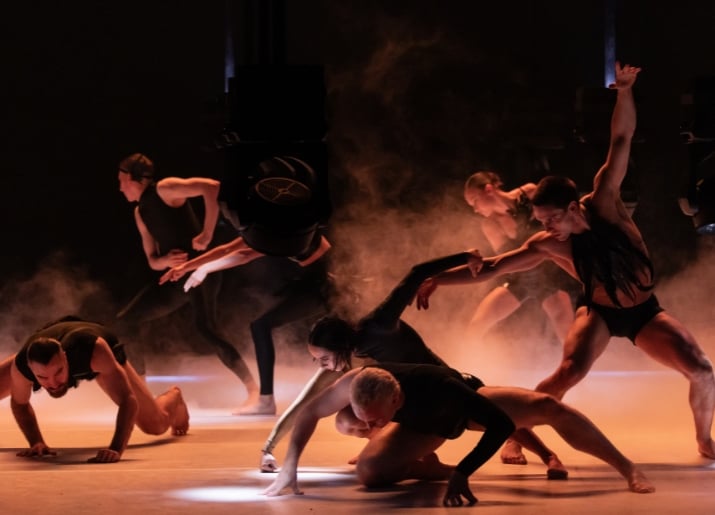 Sydney Dance Company’s Engine