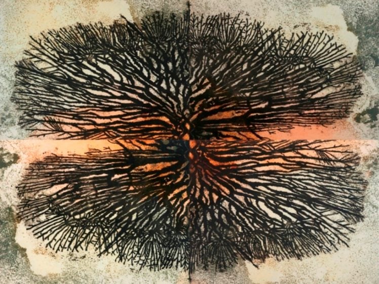 Image of An abstract inkblot resembling a symmetrical, circular cluster of tree branches with a glowing orange horizontal line through the centre, set against a textured, mottled background.