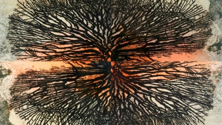 Marginalia: Printmaking at the Edges of Visibility in WA