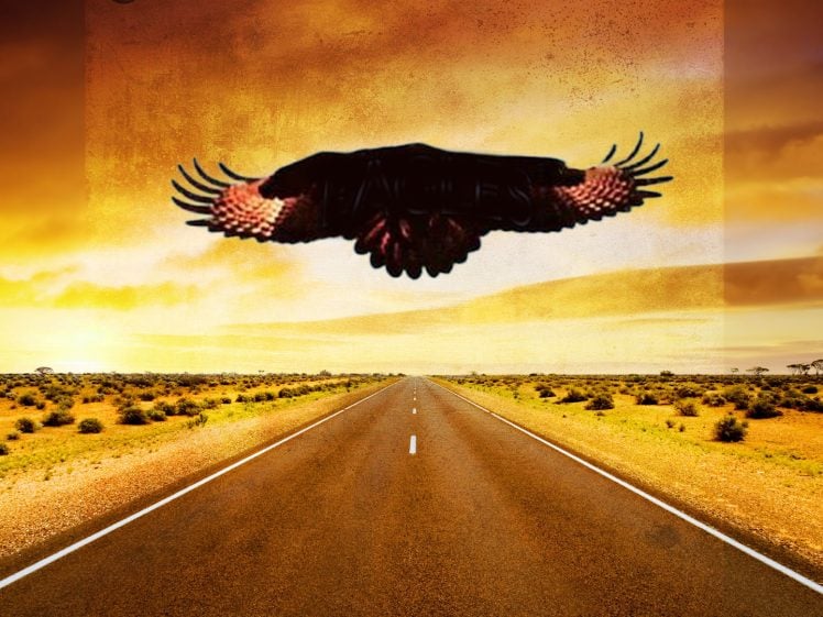 The Eagles Tribute