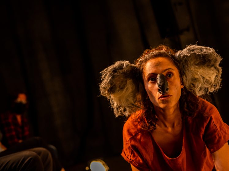 Image of A person wearing a koala costume with fluffy ears and a painted nose crouches on stage under warm lighting, whilst an audience watches in the background.