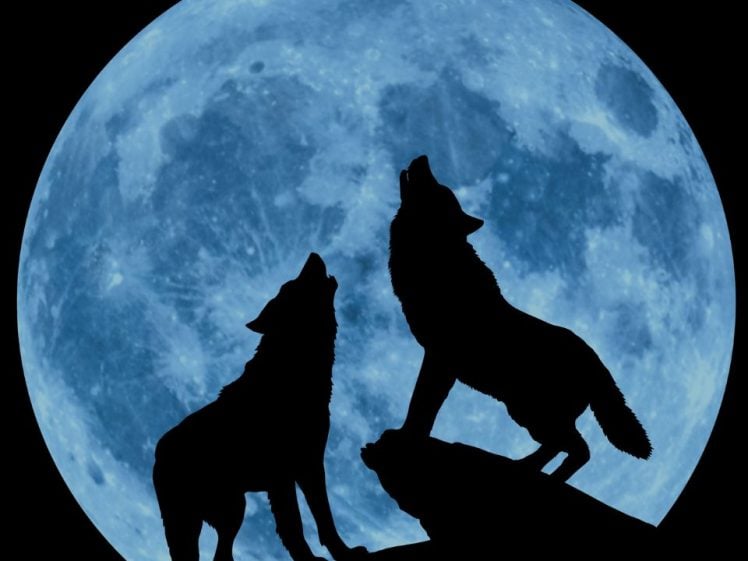 Creedence Clearwater Collective