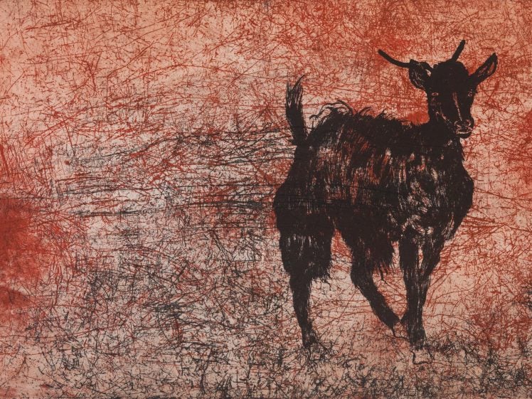 Image of A black goat stands against a textured, abstract red and white background with scratchy, chaotic lines covering the entire image.
