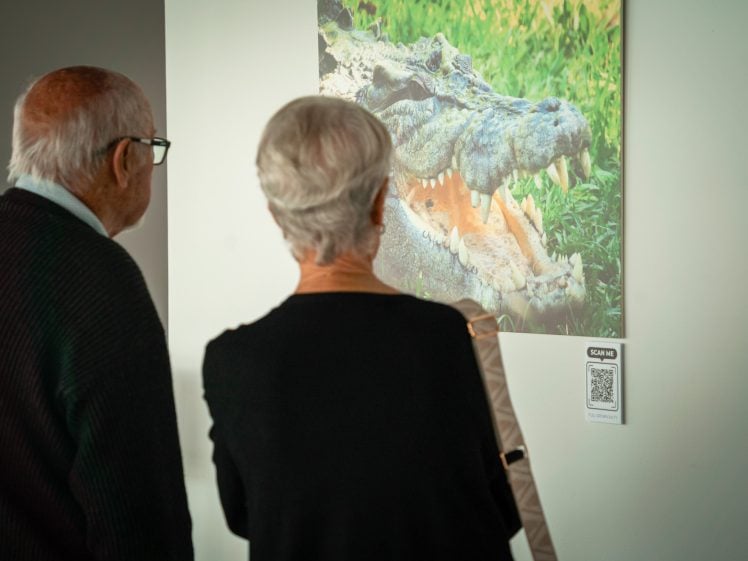 Gallery Image 0