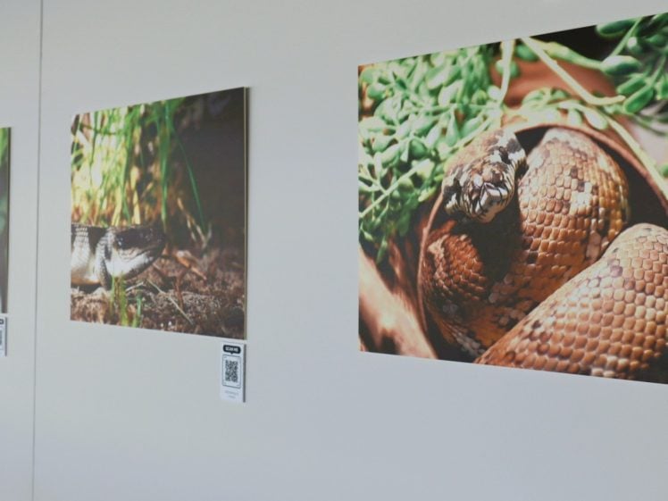 Gallery Image 0