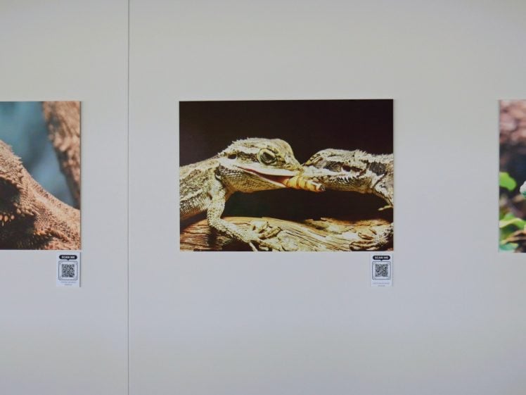 Gallery Image 0