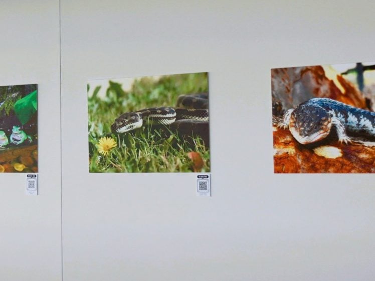 Gallery Image 0