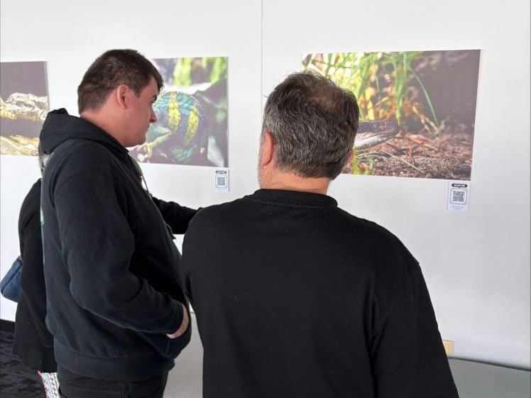 Gallery Image 0